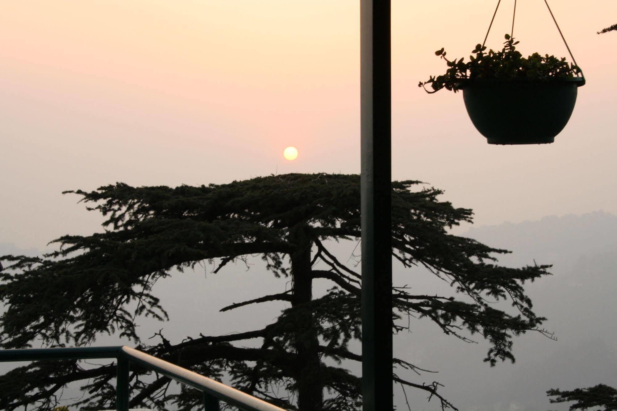 Honeymoon Inn Shimla Ngoại thất bức ảnh